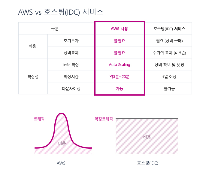 AWS vs 호스팅(IDC) 서비스