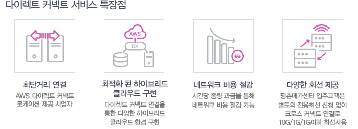 다이렉트 커넥트 서비스 특장점