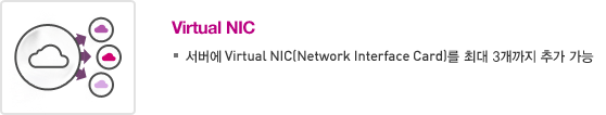 Virtual NIC