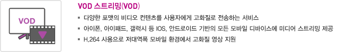 VoD 스트리밍 (VoD)